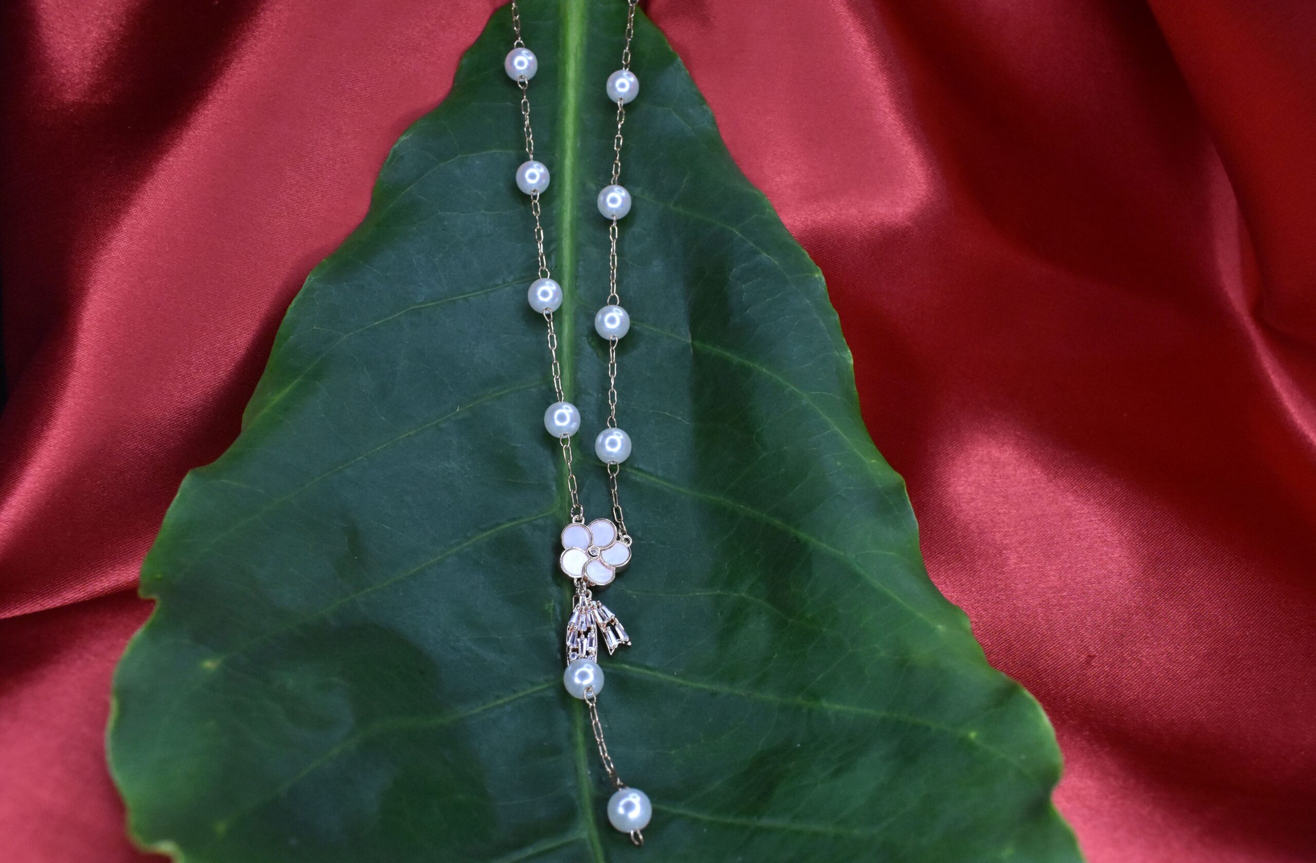 DSC_0848_copy DSC_0848_copy